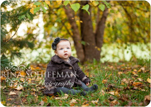 baby fall portrait