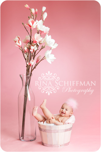 baby portrait girl NY Photography