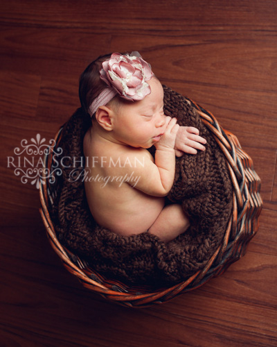 Newborn portrait photographer NY 