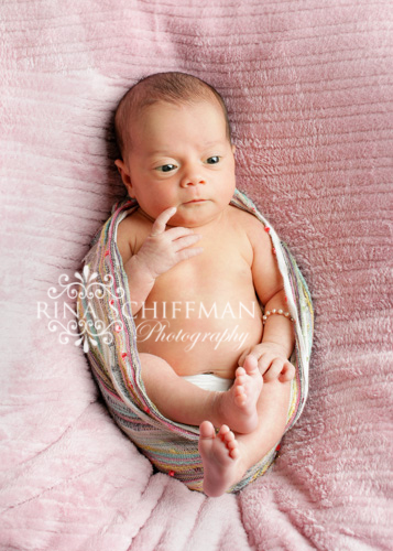 Newborn portrait photographer NY 